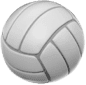 ball de volleyball